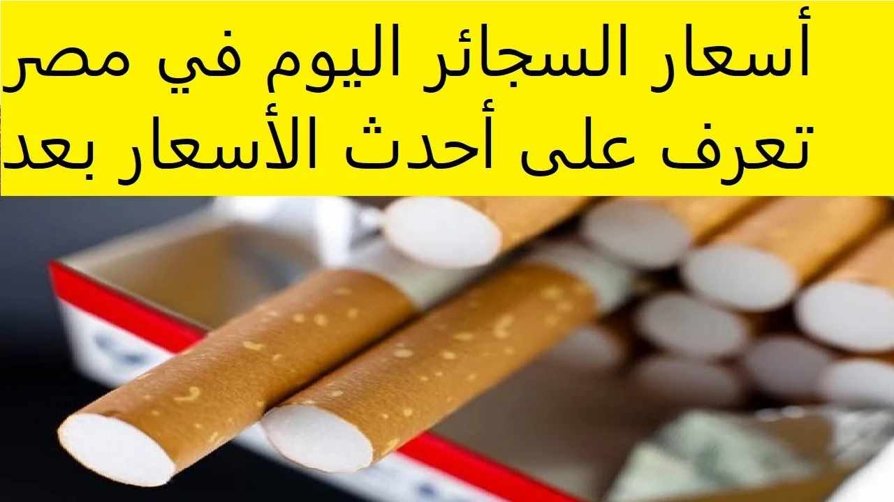 المحلية والمستوردة.. اسعار السجائر اليوم الثلاثاء 2 ديسمبر 2025 في سوق مصر بالزيادة الضريبية